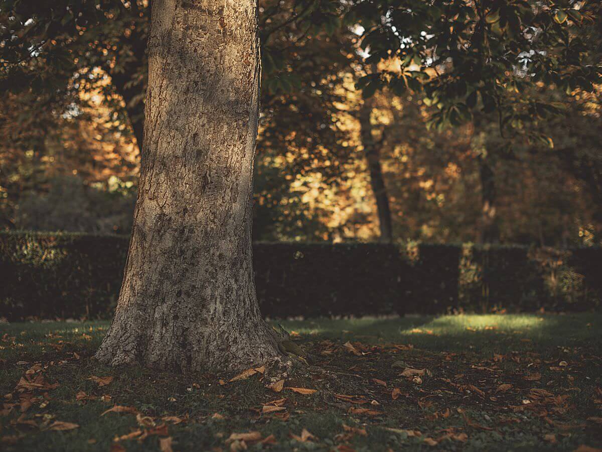 Marie-Montibert_Destination-Engagement-Automne_Parc-El-Retiro-Madrid-25_BLOG