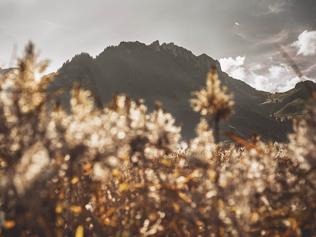 Marie-Montibert_Inspiration-Mariage-Automne_Legende-Lac-Noir_SeMarier14_BLOG